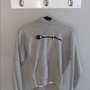 Gray Champion Sweatshirt